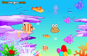 Pou Ocean Decorating